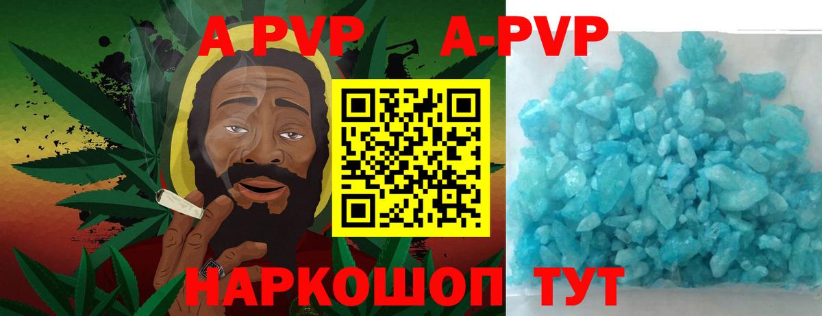 A-PVP СК КРИС Обь