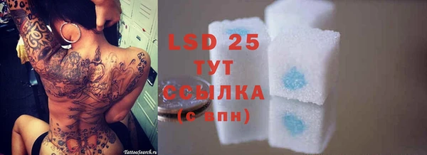 a pvp Дмитровск