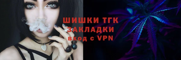 дмт Гусев