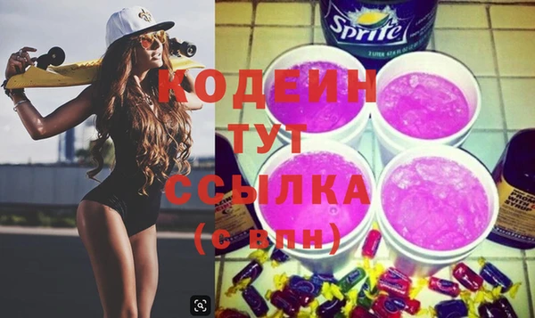амф Щигры