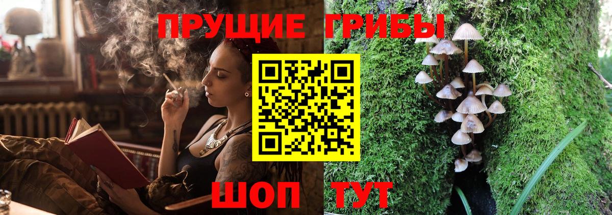 Псилоцибиновые грибы мицелий Обь