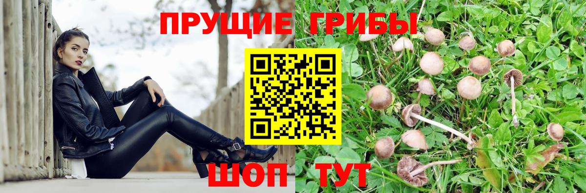 Обь  Псилоцибиновые грибы мицелий  Вход с VPN 