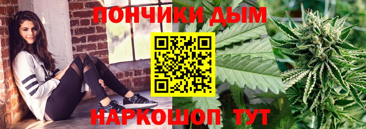 Конопля планчик Обь